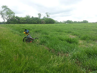 UST Locate - Barrington Hills, Illinois