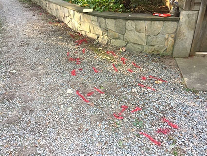 GPRS Verifies Absence of Reinforcing in Concrete Column Footer at Production Plant 
